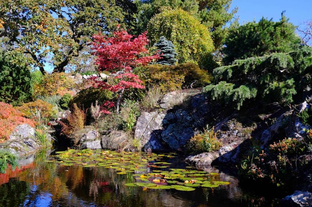 Victoria’s Abkhazi Garden marks 80th anniversary with poetry contest