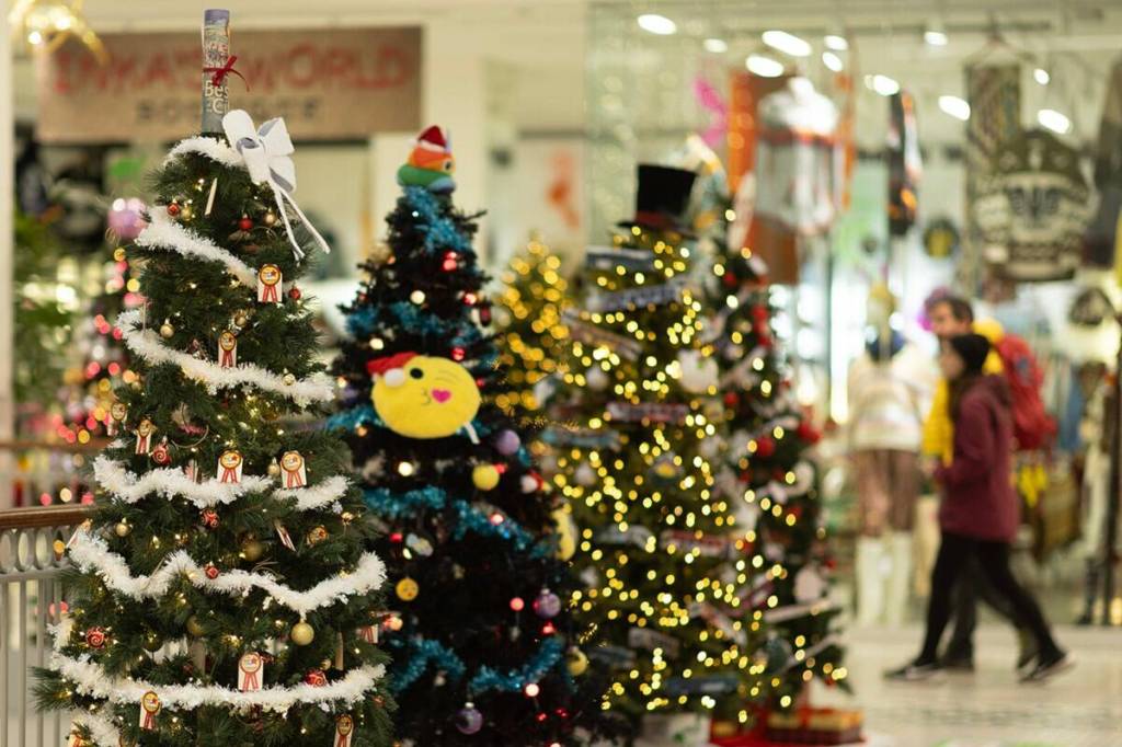 Victoria Christmas tradition raises $135K for BC Children’s Hospital