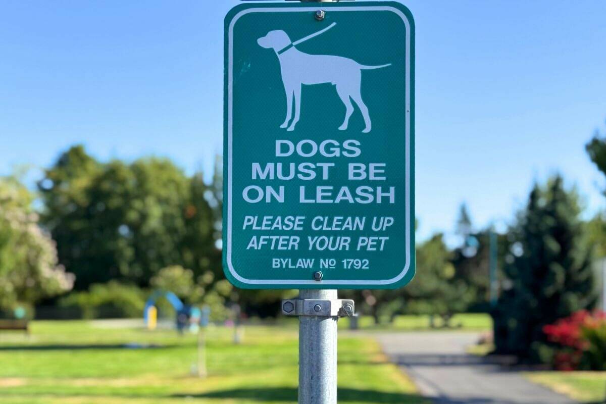LETTER : Keeping dogs on leash at Panama Flats the right decision