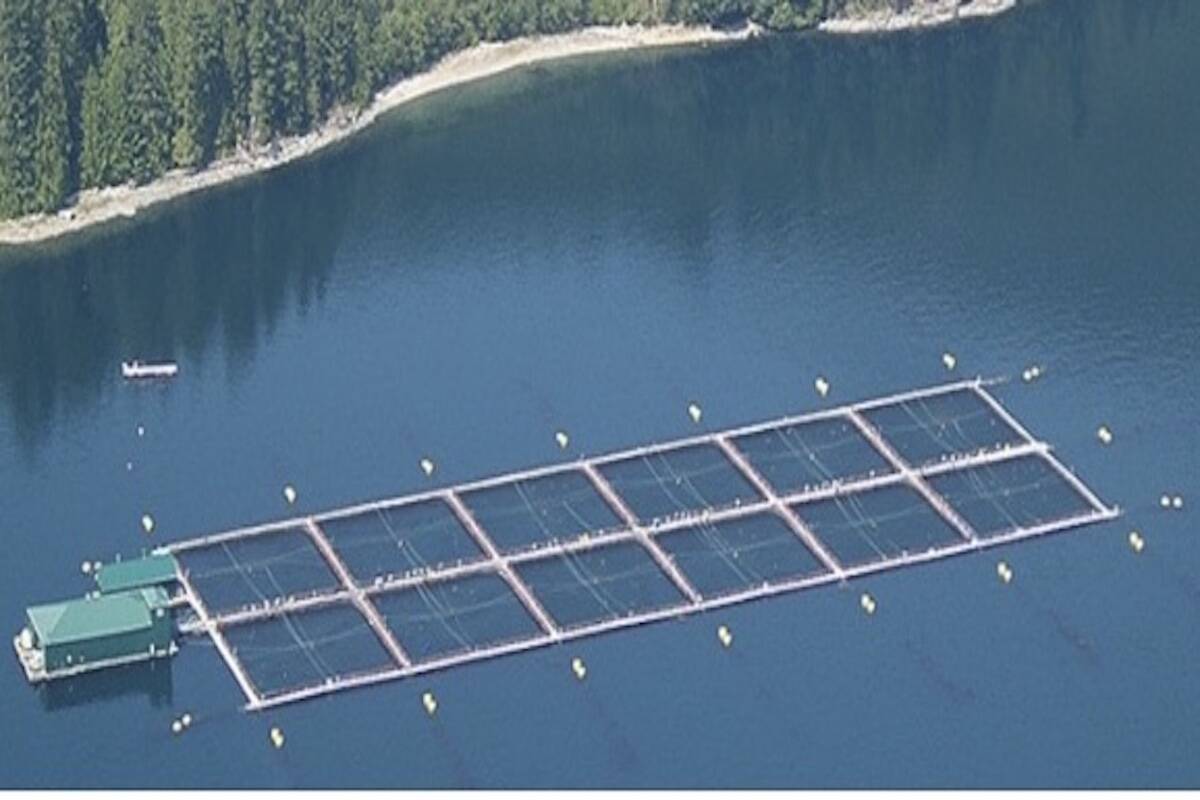 Mowi loses appeal over Discovery Islands aquaculture ban