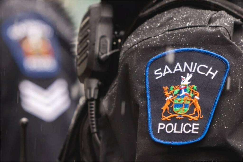 2 Lower Mainland men charged in Greater Victoria break and enters